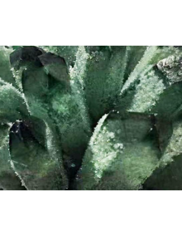 特大綠雪石