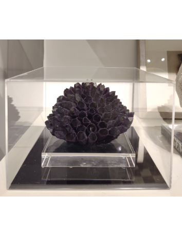 原始深紫色幻影紫水晶簇