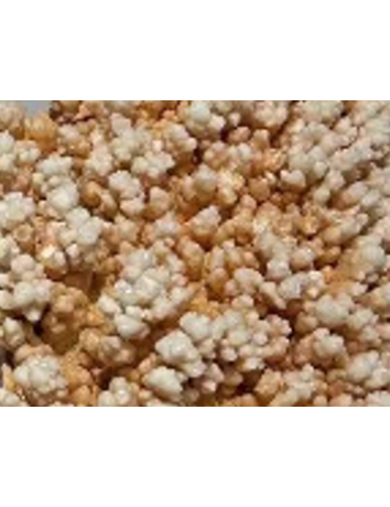 馬達加斯加奇石