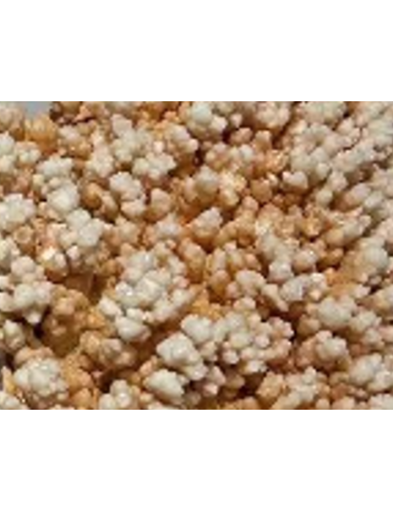 馬達加斯加奇石