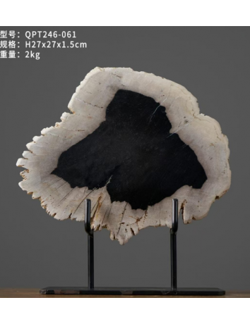 美麗黑木化石