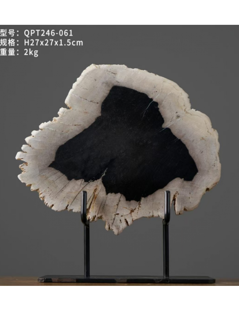 美麗黑木化石