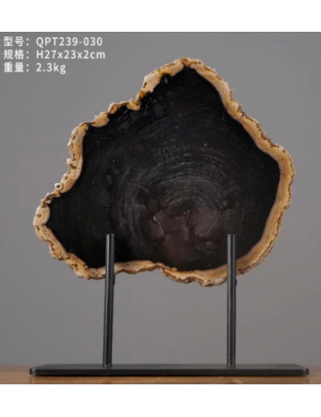 黑木化石擺飾