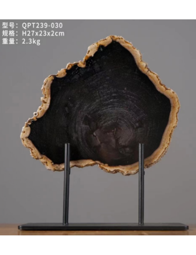 黑木化石擺飾